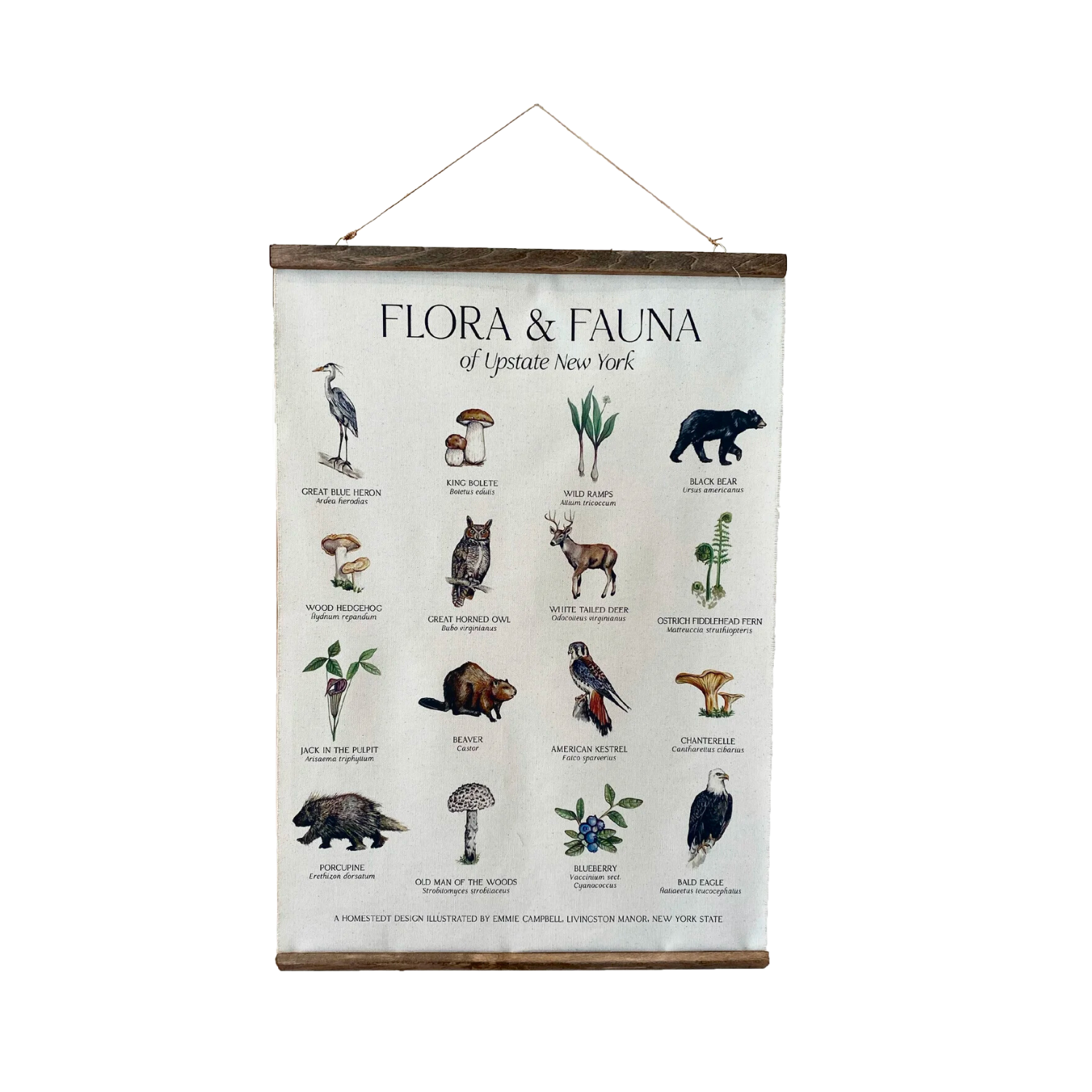 Flora and Fauna of Upstate New York Wall Hanging Canvas Print